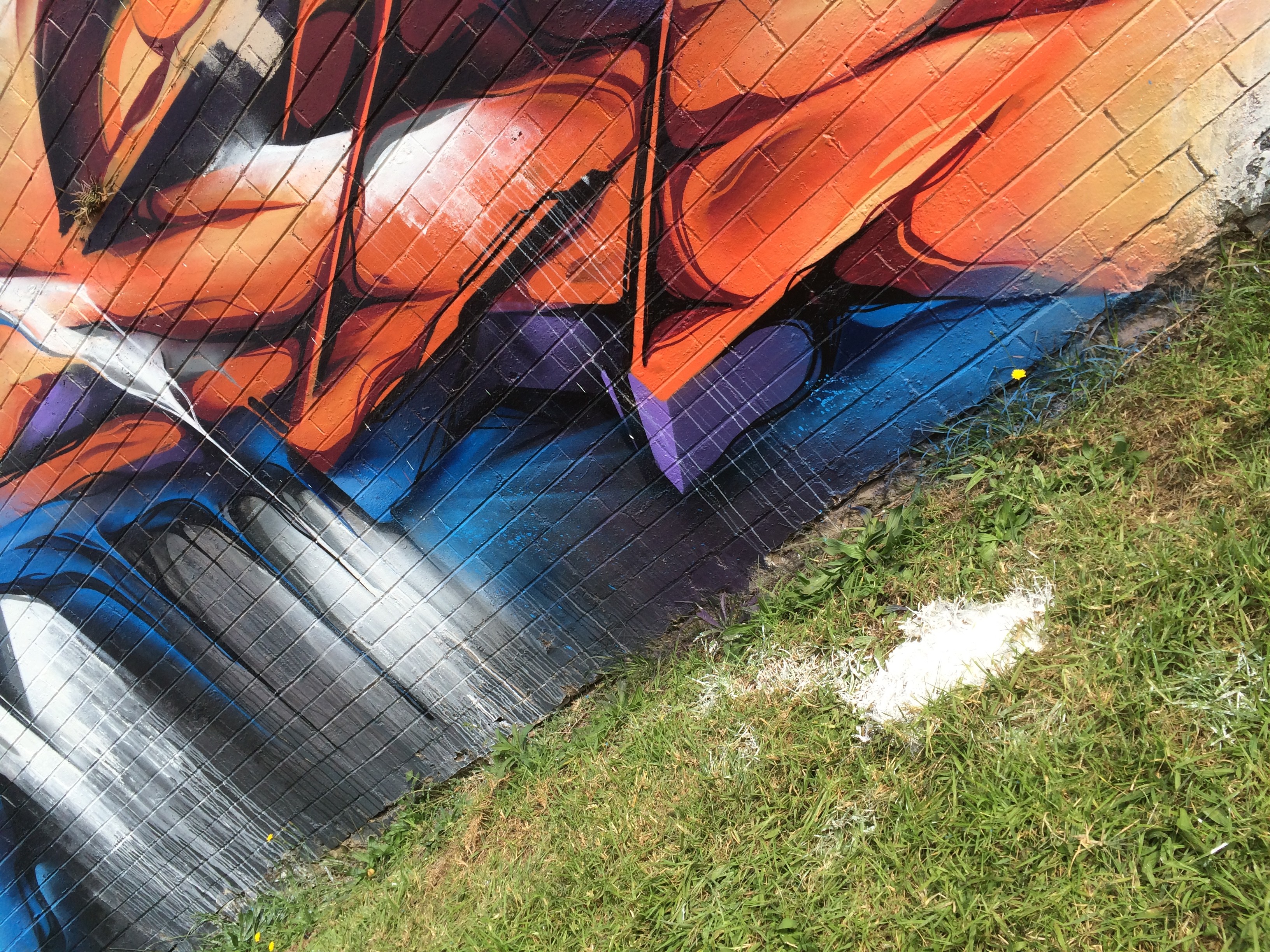 A work by Does - Toowoomba australia detail mural 2