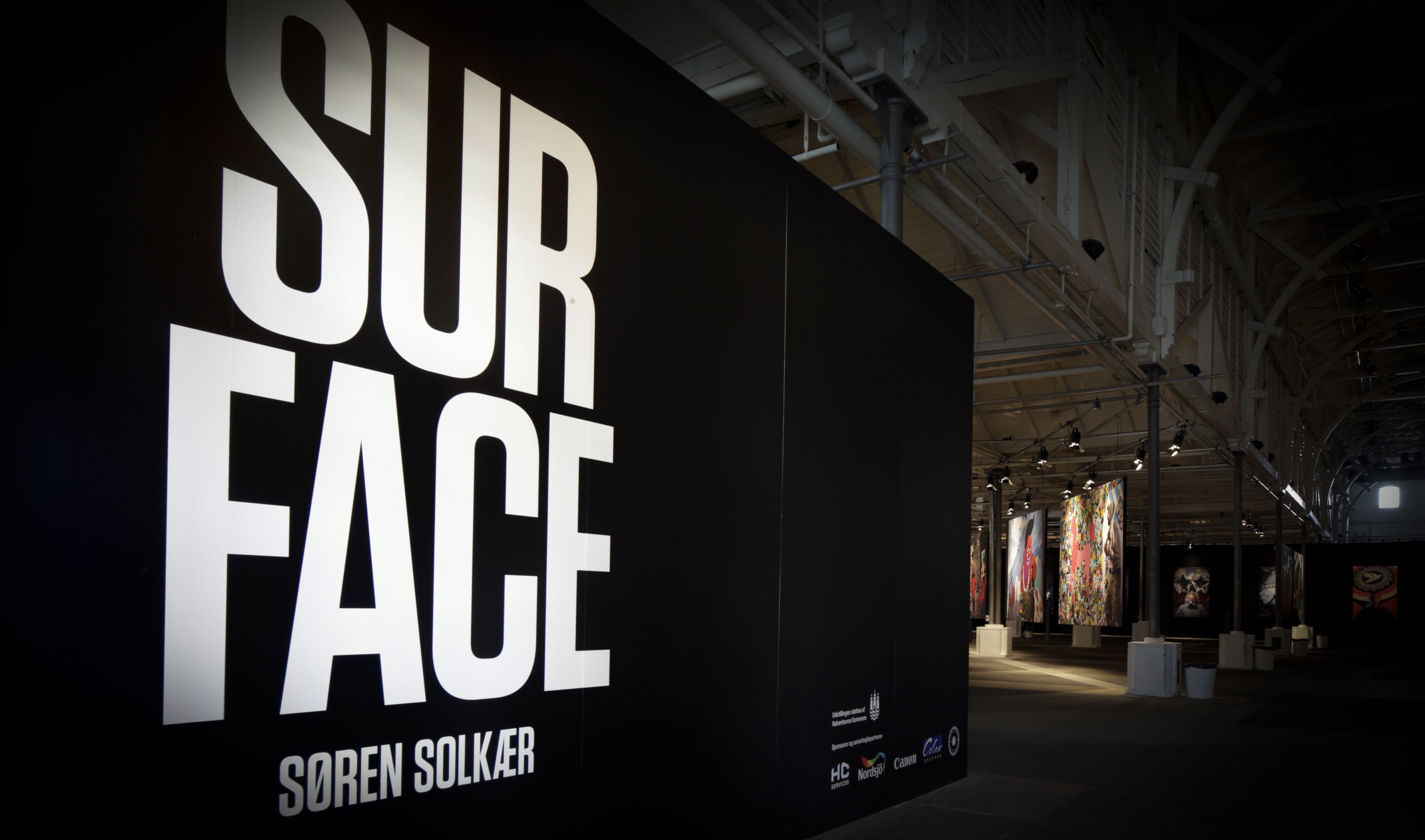 A work by Does - Surface exhibition soren solkaer