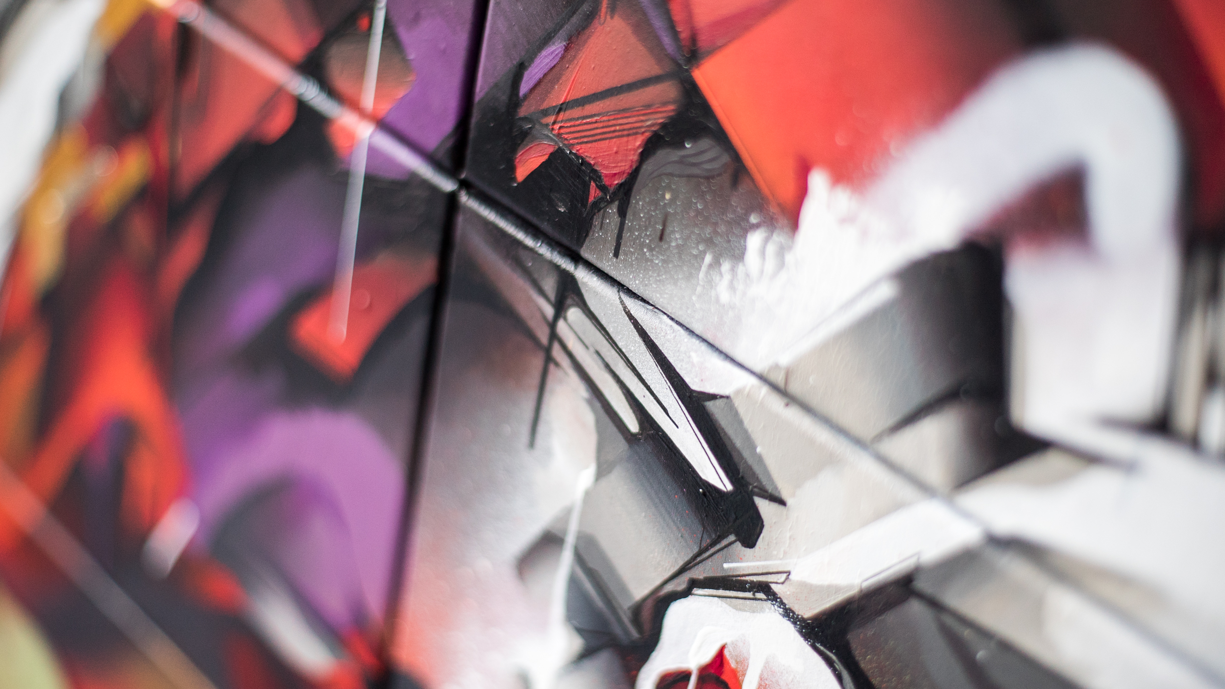 A work by Does - Qui facit creat deluxe edition detail 5