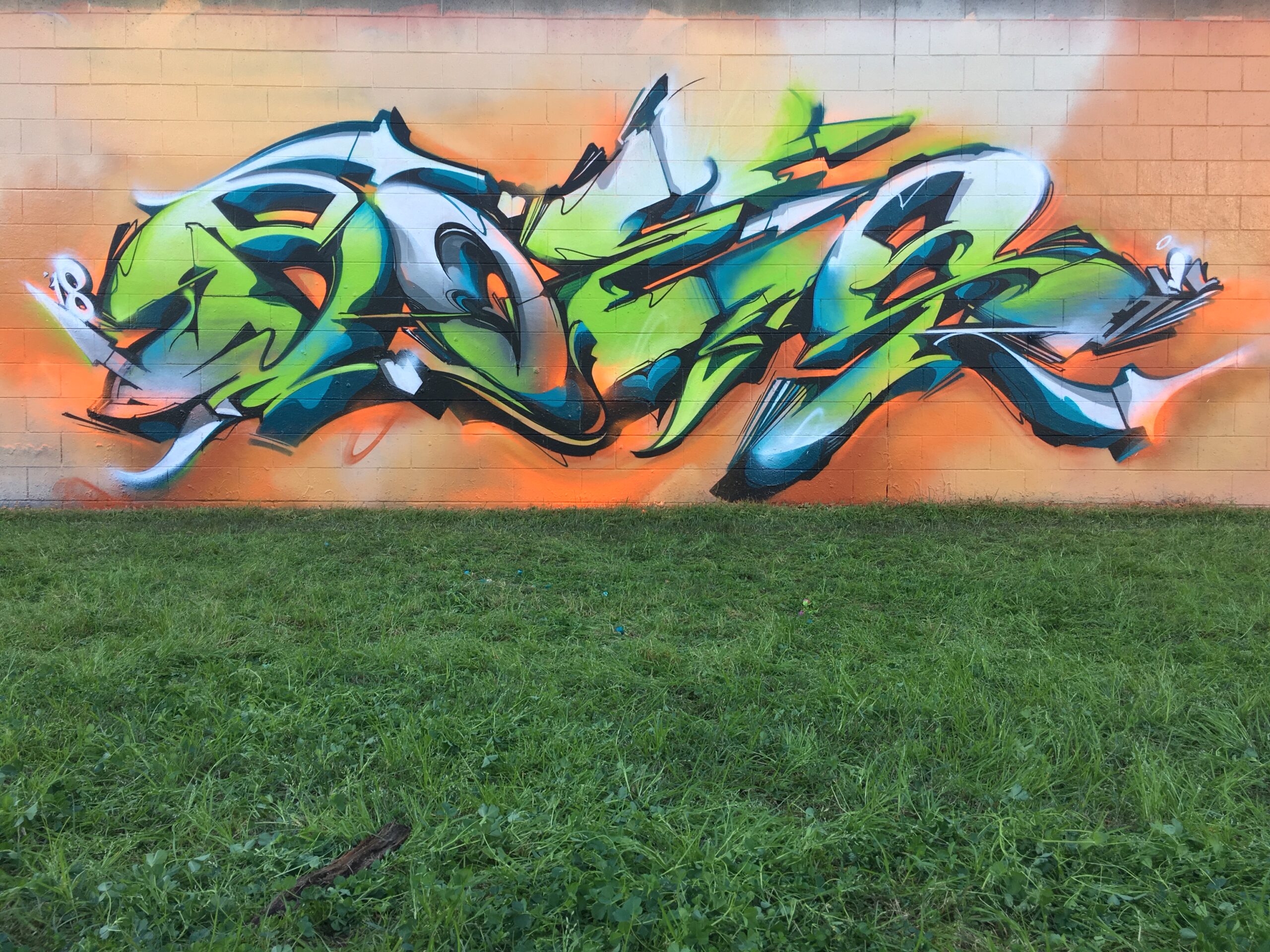 A work by Does - Brisbane, Australia 2018