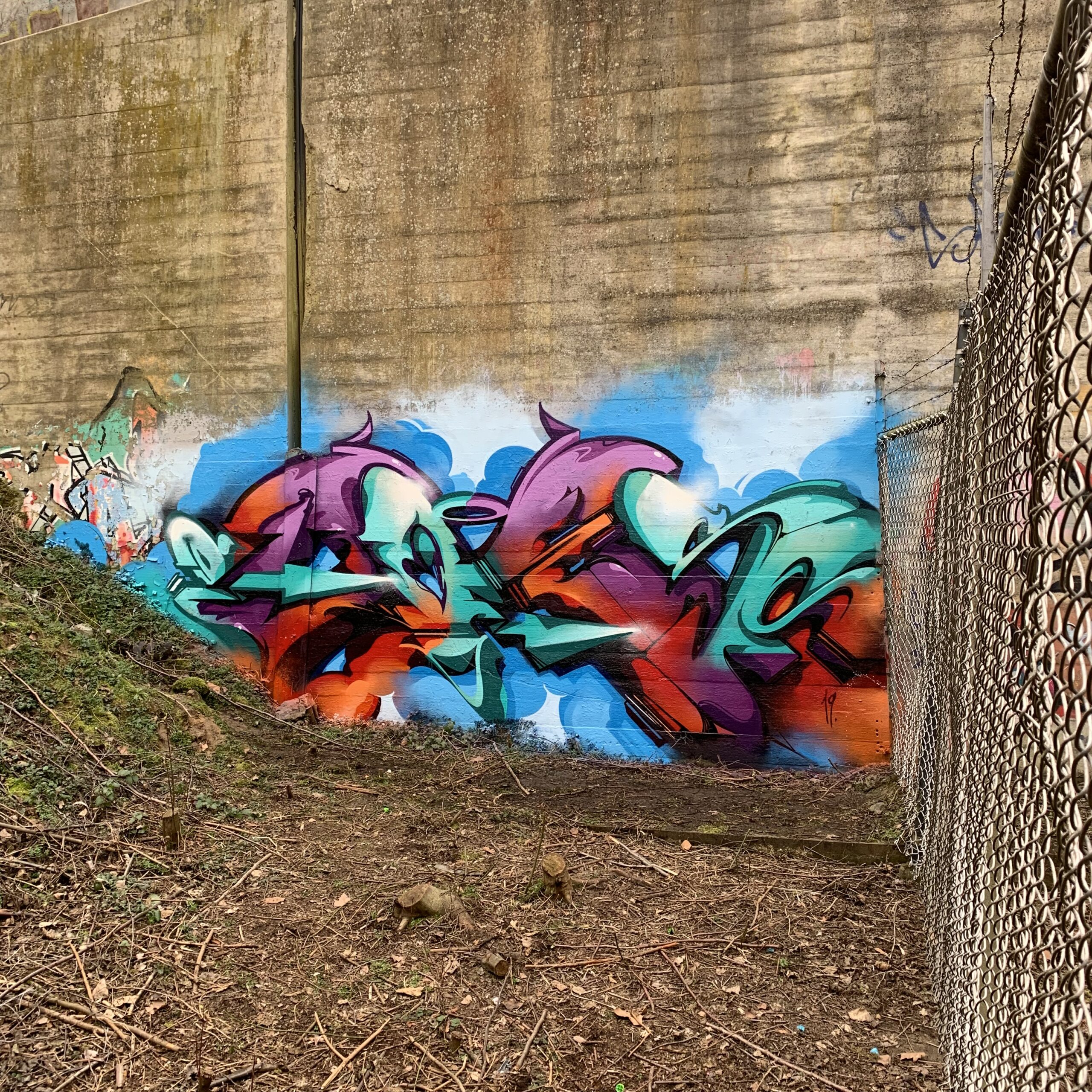 A work by Does - Geleen, the Netherlands 2019