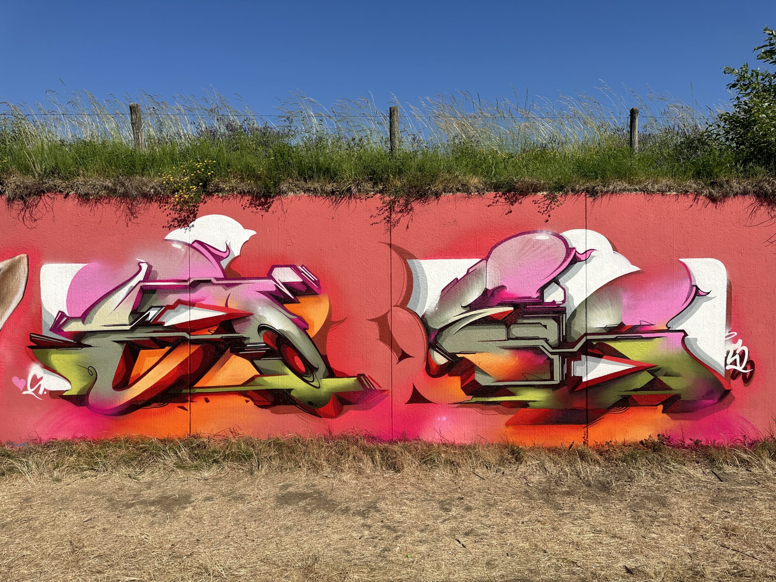 A work by Does - Geleen, the Netherlands '23